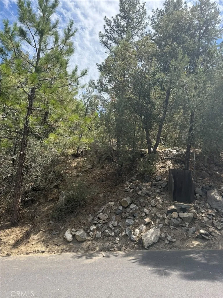 16012 Zurich Way Pine Mountain Club, CA 93222