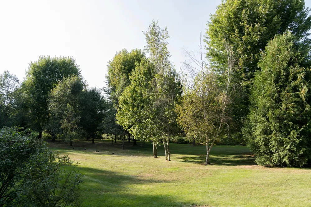 S51 Deer Run Road Mondovi, WI 54755