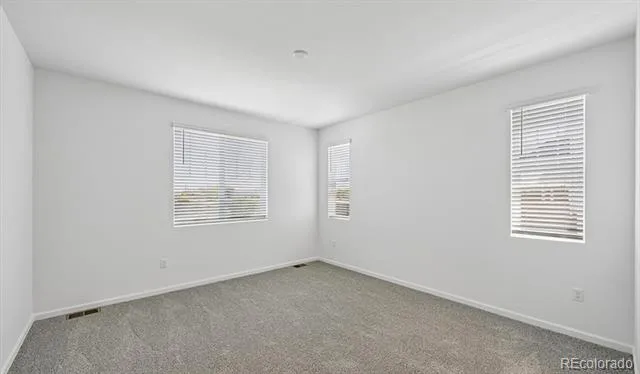 6407 Ankina Drive Windsor, CO 80528
