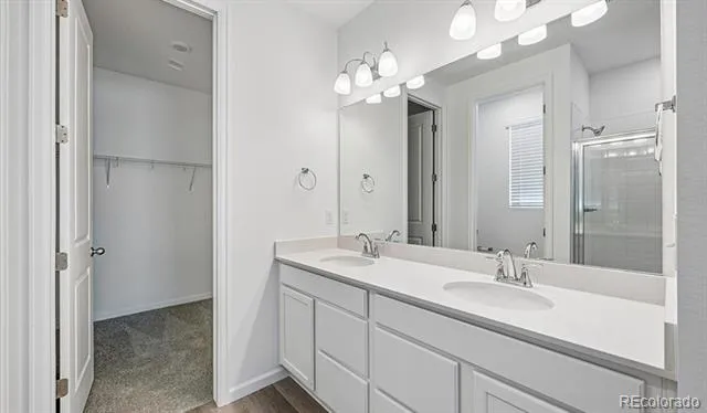 6407 Ankina Drive Windsor, CO 80528