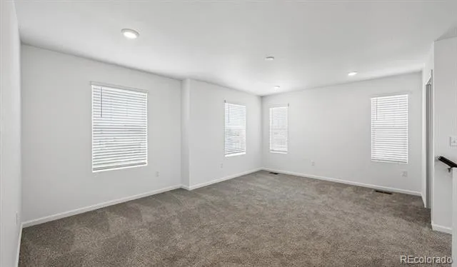 6407 Ankina Drive Windsor, CO 80528