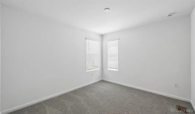 6407 Ankina Drive Windsor, CO 80528