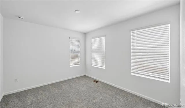 6407 Ankina Drive Windsor, CO 80528