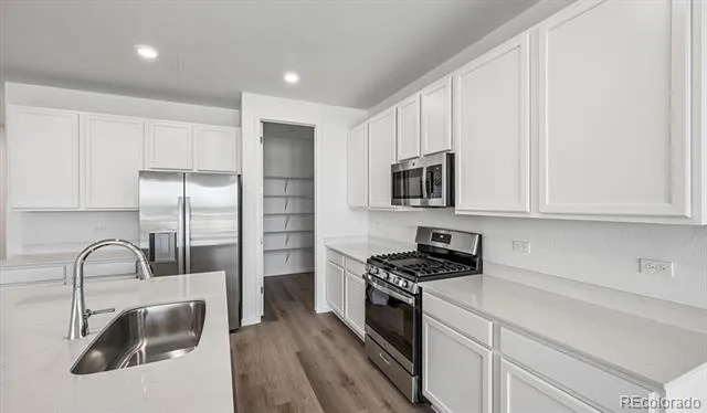 6407 Ankina Drive Windsor, CO 80528