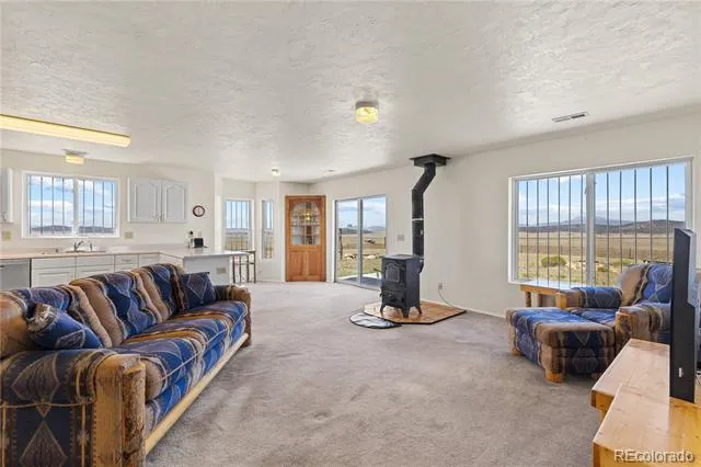1421 Larimer Road Hartsel, CO 80449