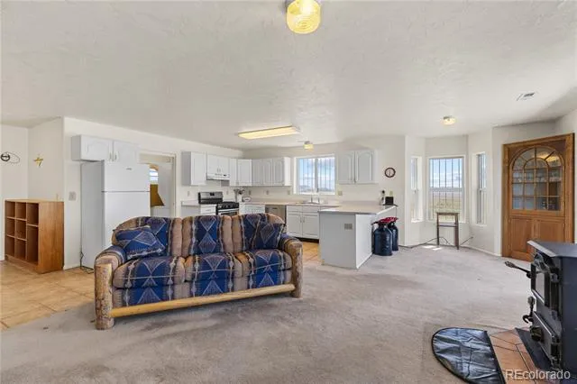 1421 Larimer Road Hartsel, CO 80449