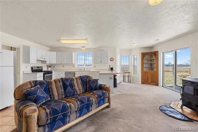 1421 Larimer Road Hartsel, CO 80449