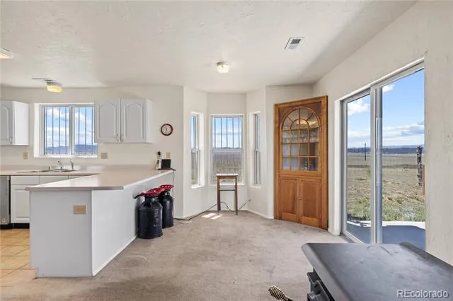 1421 Larimer Road Hartsel, CO 80449