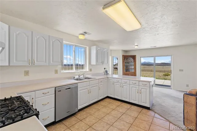1421 Larimer Road Hartsel, CO 80449