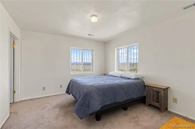 1421 Larimer Road Hartsel, CO 80449