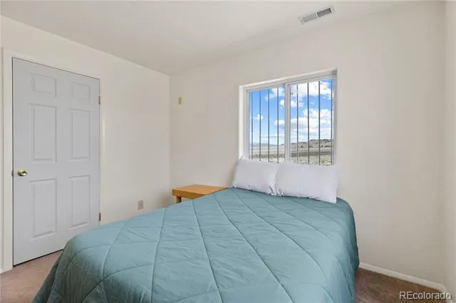 1421 Larimer Road Hartsel, CO 80449