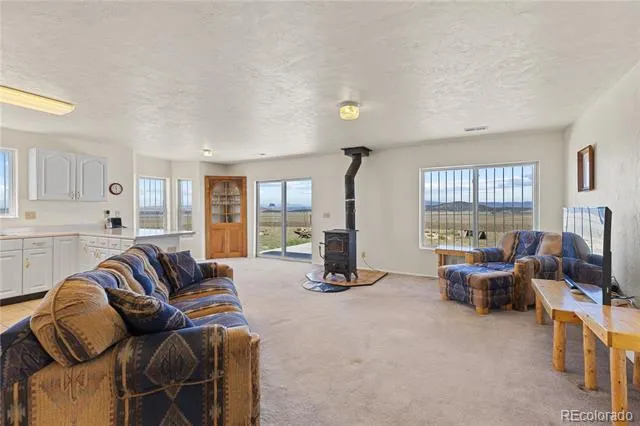 1421 Larimer Road Hartsel, CO 80449