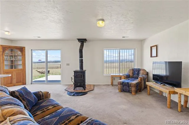 1421 Larimer Road Hartsel, CO 80449