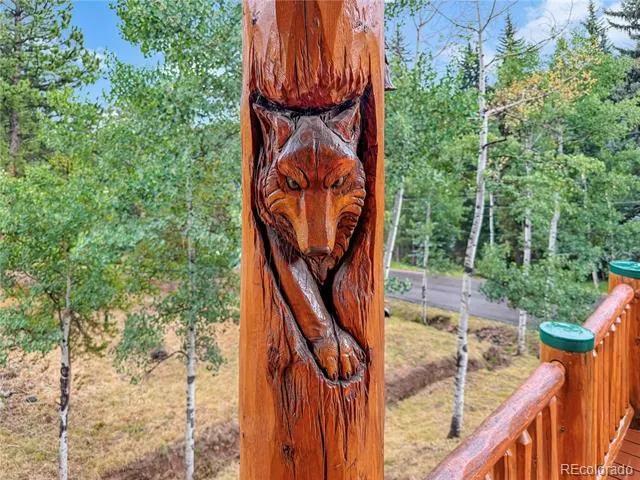 34797 Forest Estates Road Evergreen, CO 80439