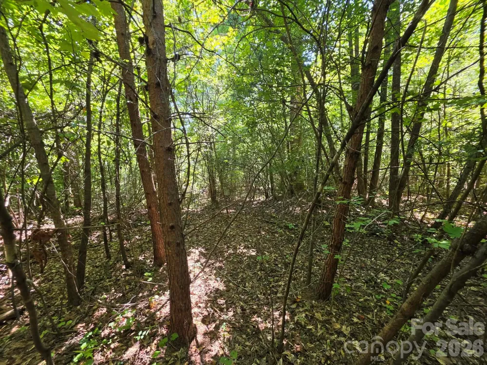 TBD Pinkwood Drive Rutherfordton, NC 28139
