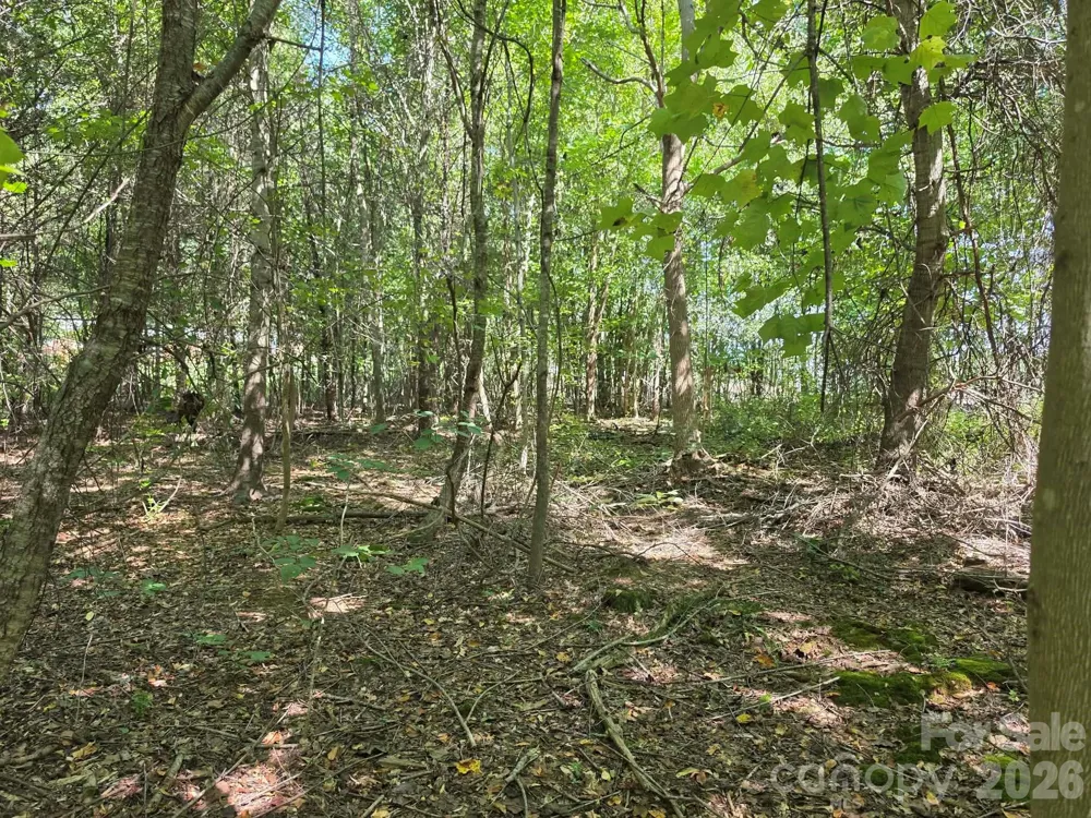 TBD Pinkwood Drive Rutherfordton, NC 28139