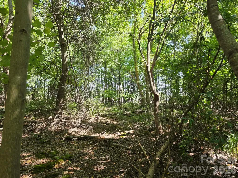 TBD Pinkwood Drive Rutherfordton, NC 28139