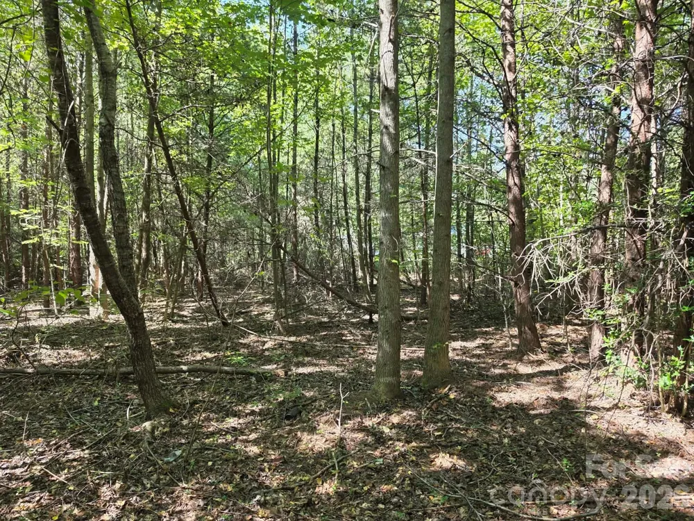 TBD Pinkwood Drive Rutherfordton, NC 28139