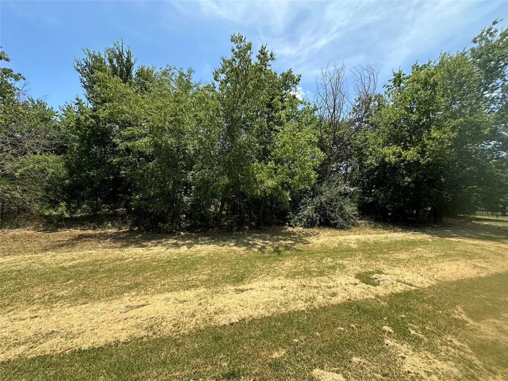 1356 Orange Blossom Court Gainesville, TX 76240
