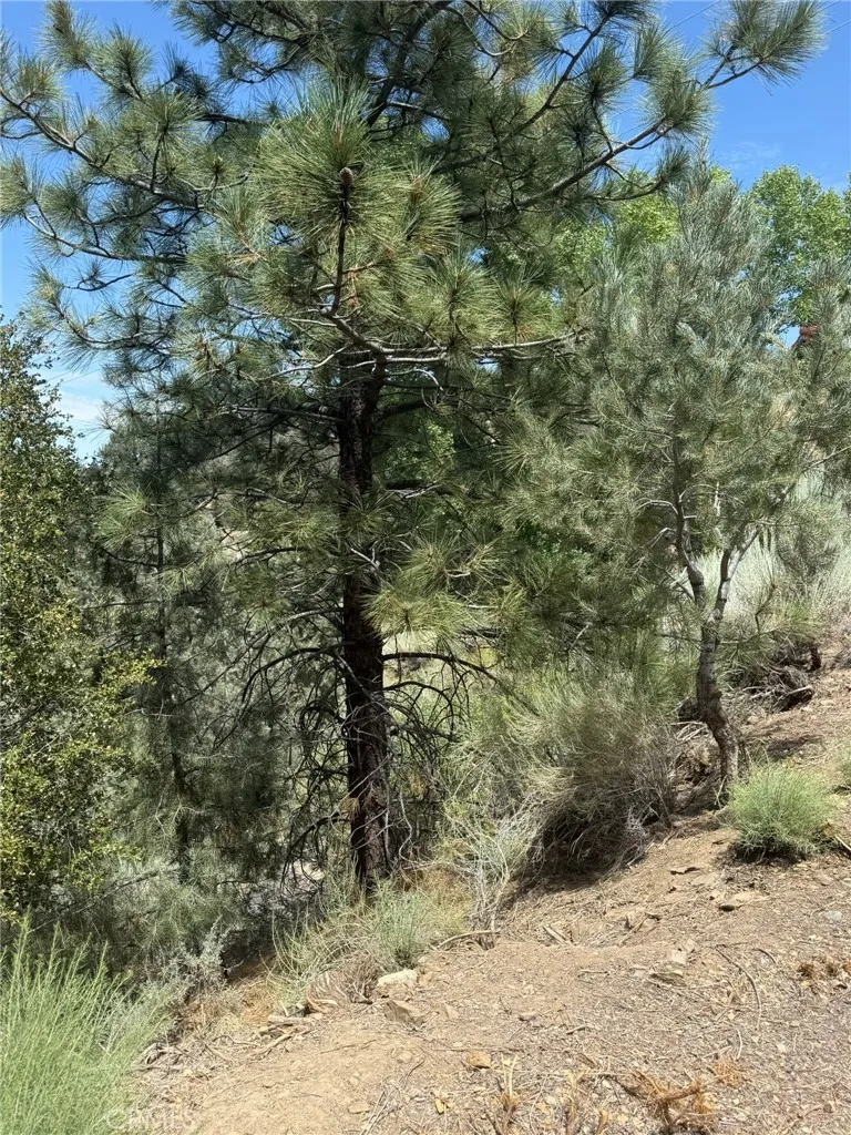1824 Pioneer Way Pine Mountain Club, CA 93222
