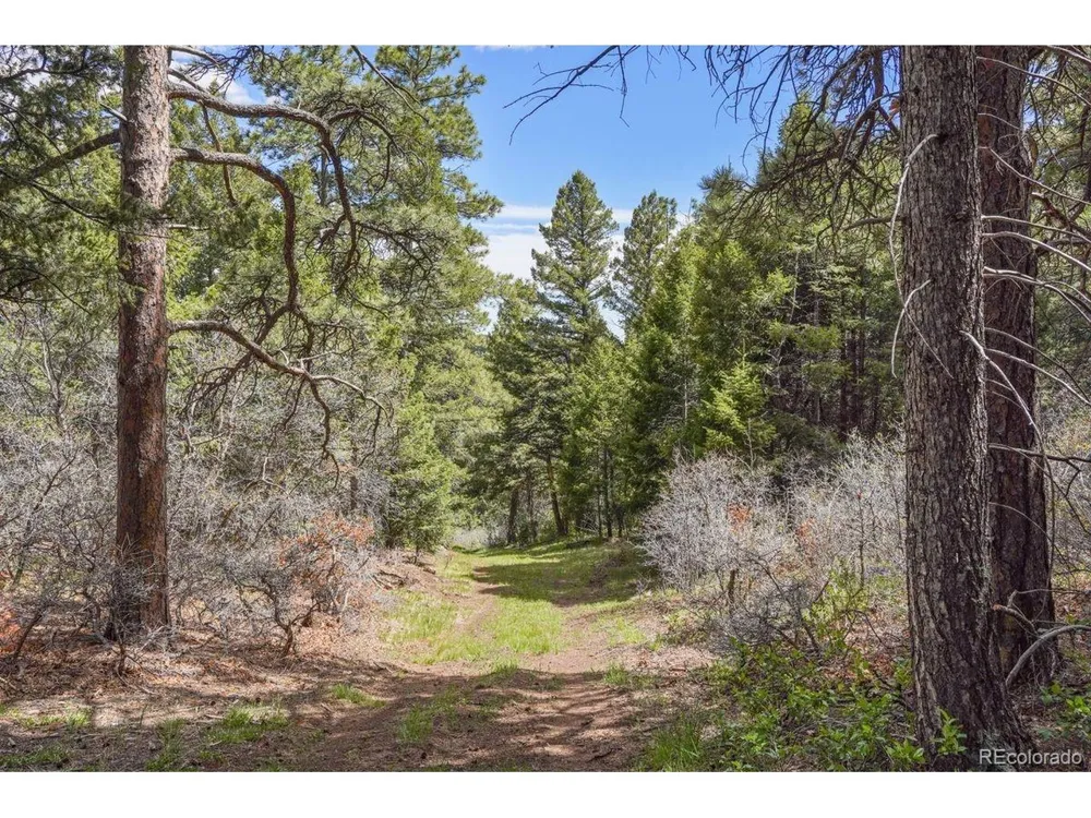 15947 S Perry Park Road Palmer Lake, CO 80133