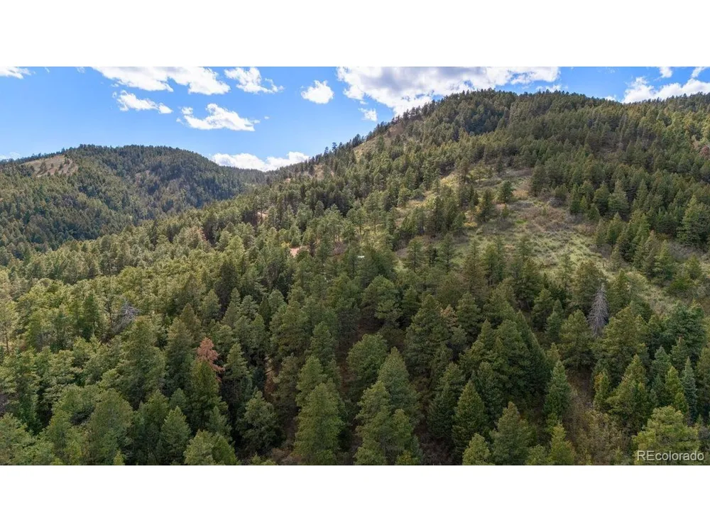 15947 S Perry Park Road Palmer Lake, CO 80133