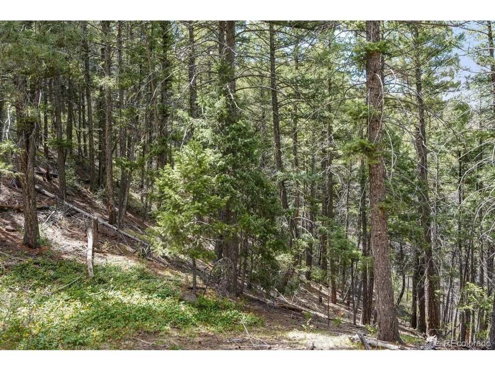 15947 S Perry Park Road Palmer Lake, CO 80133