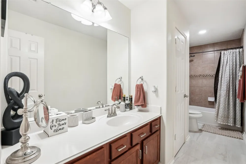 14 Carmel Chase Court Manvel, TX 77578
