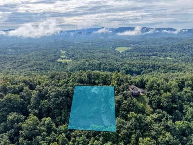 81 Grant Drive Brasstown, NC 28902