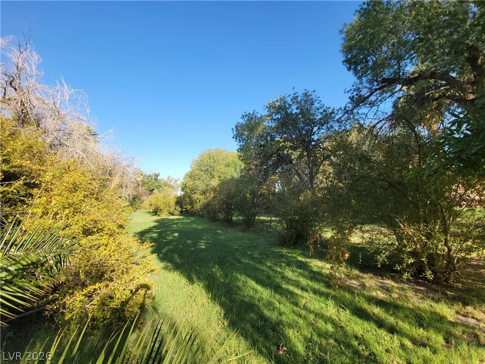 220 S Andersen Street Overton, NV 89040