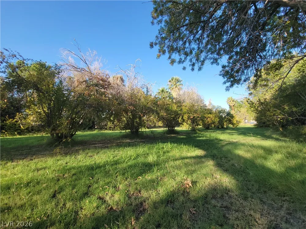 220 S Andersen Street Overton, NV 89040