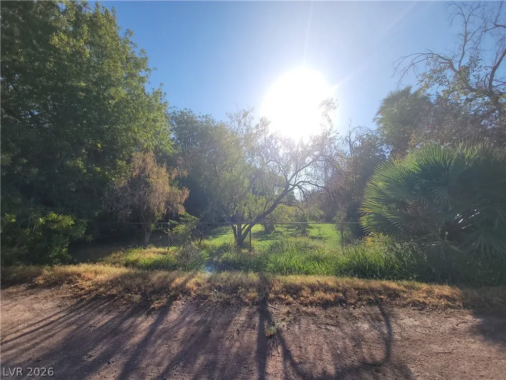 220 S Andersen Street Overton, NV 89040
