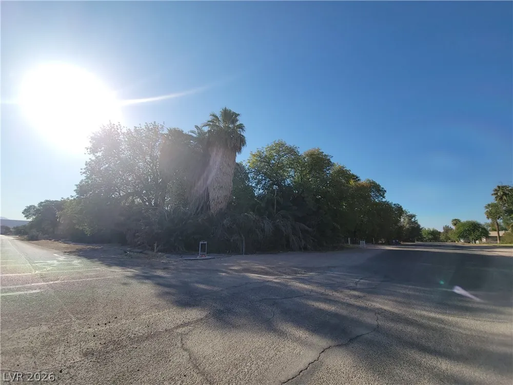 220 S Andersen Street Overton, NV 89040