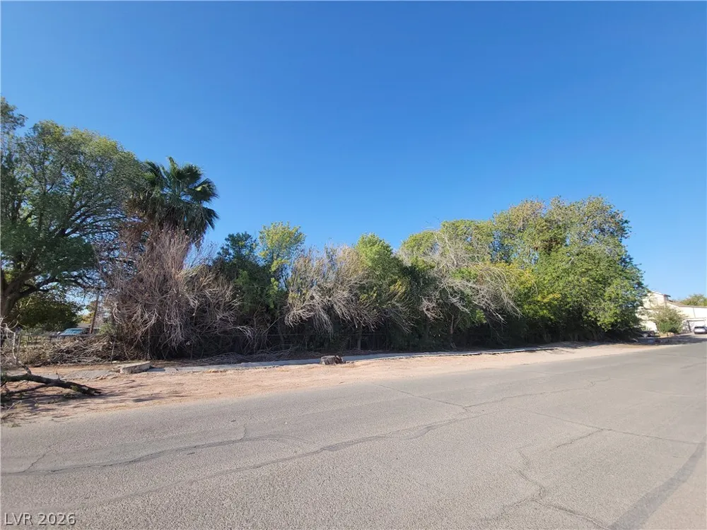 220 S Andersen Street Overton, NV 89040