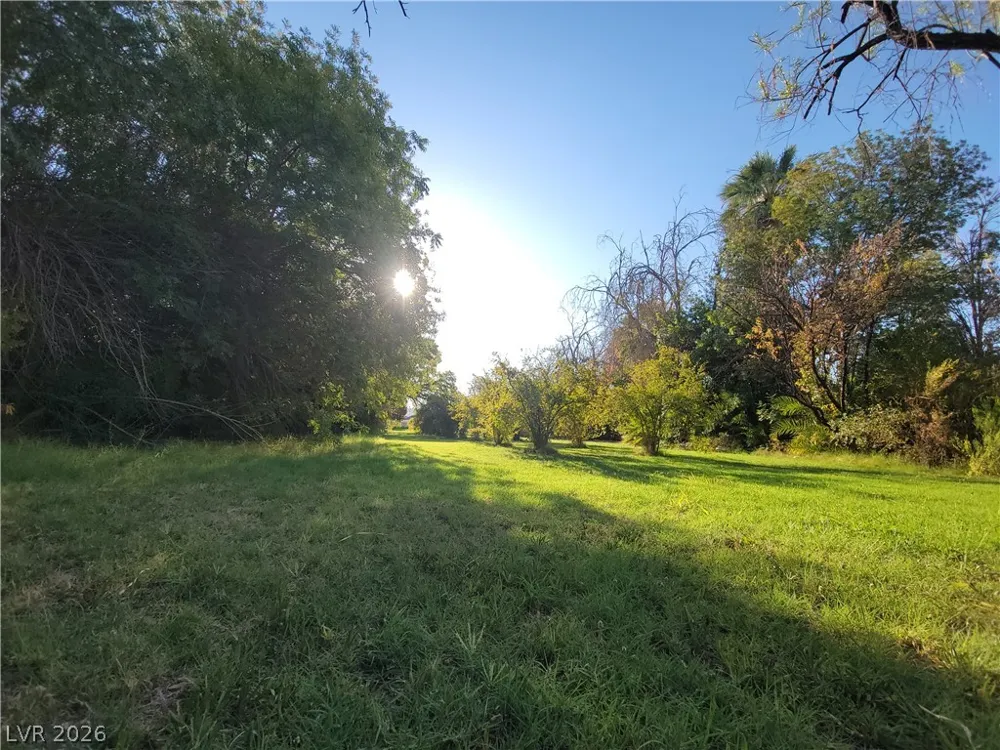 220 S Andersen Street Overton, NV 89040