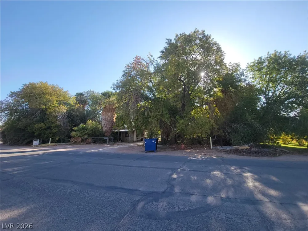 220 S Andersen Street Overton, NV 89040