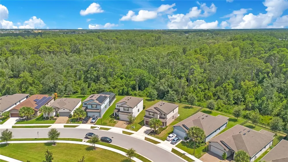 16959 BASSWOOD LANE Clermont, FL 34714