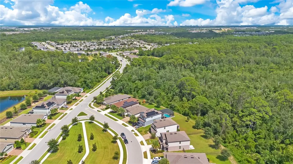 16959 BASSWOOD LANE Clermont, FL 34714