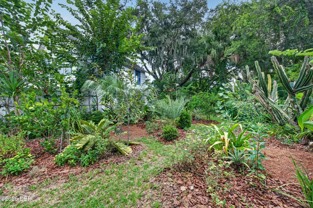 718 Avenue A Holly Hill, FL 32117