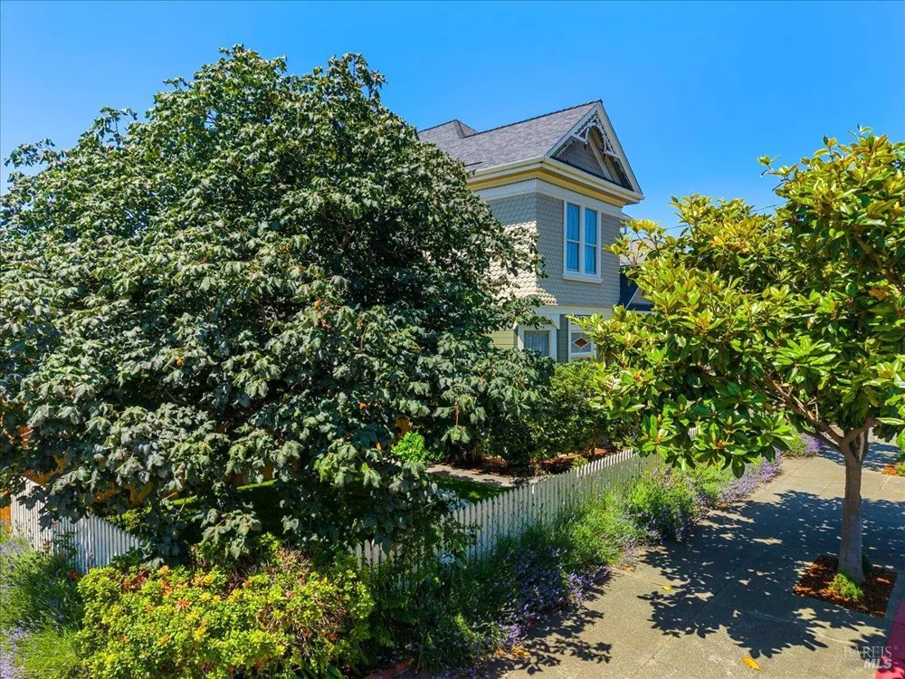1456 C STREET Eureka, CA 95501