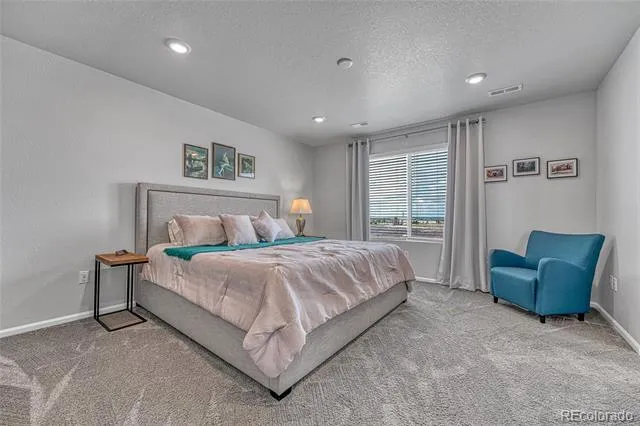 604 Silver Rock Trail Castle Rock, CO 80104