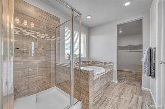 604 Silver Rock Trail Castle Rock, CO 80104