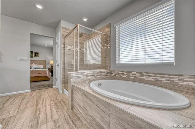 604 Silver Rock Trail Castle Rock, CO 80104