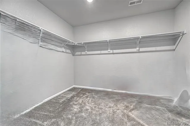 604 Silver Rock Trail Castle Rock, CO 80104