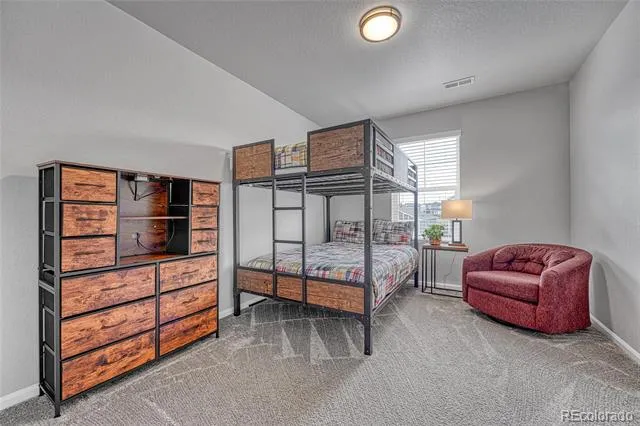 604 Silver Rock Trail Castle Rock, CO 80104