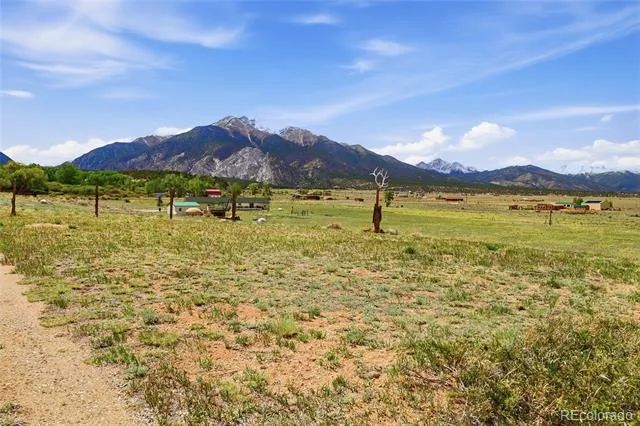 20300 Old Ranch Loop Nathrop, CO 81236