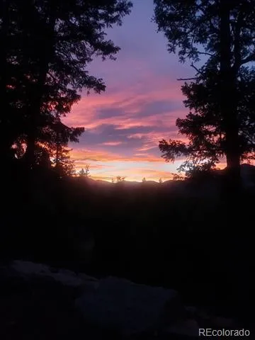 33888 Bardwell Road Pine, CO 80470