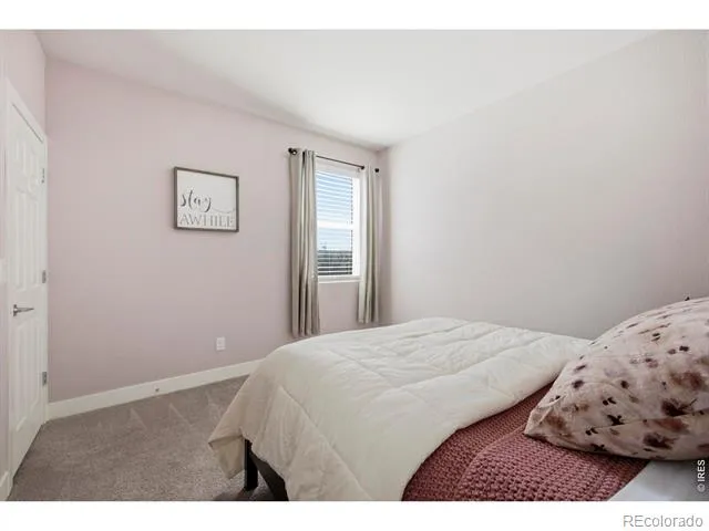 6399 Verna Court Timnath, CO 80547