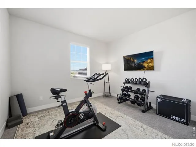 6399 Verna Court Timnath, CO 80547