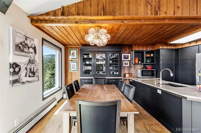 610 Meadow View Drive Evergreen, CO 80439